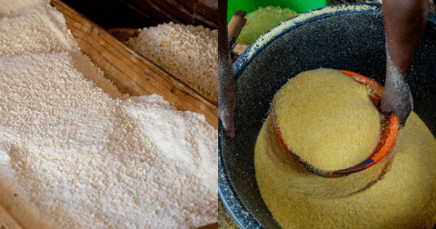 ¿Cuál es la diferencia entre maicena y harina de maíz? Esto debe tener en cuenta