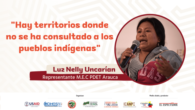 “No avanzan las consultas con pueblos étnicos para la los PDET en territorios”