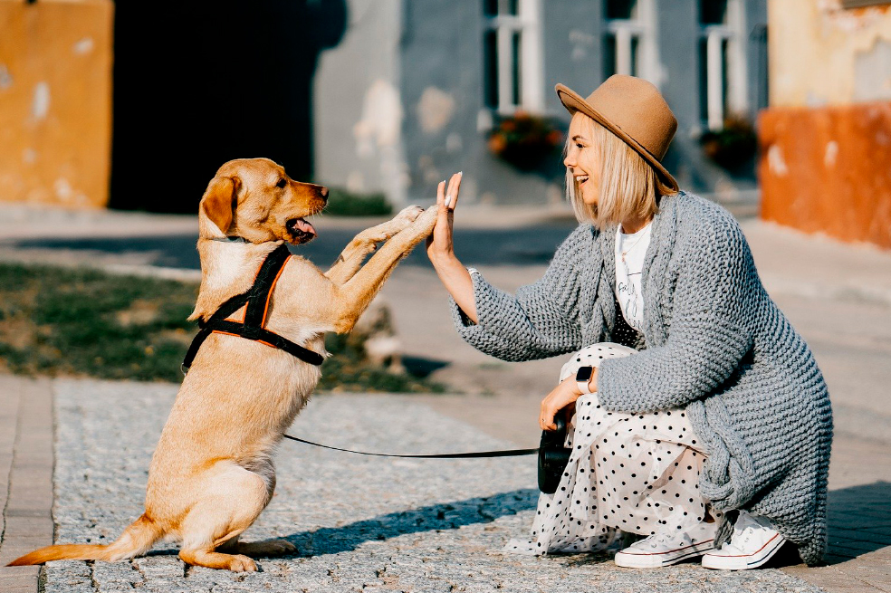 6 consejos para superar la pérdida de una mascota. La muerte de tu mascota.