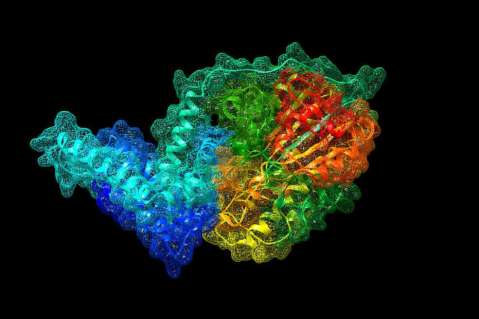 Descubren gen que hace a las superbacterias resistentes al antibiótico más potente que existe