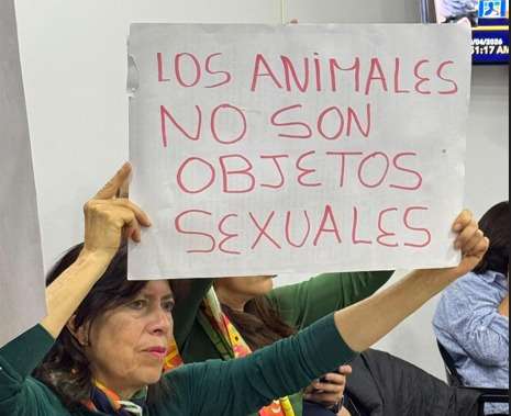 A un debate de ser ley: buscan cárcel para quienes cometan actos sexuales con animales