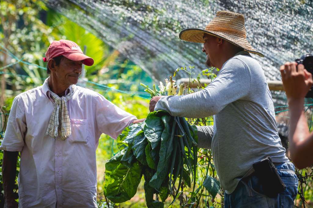 Los negocios sostenibles y verdes son una apuesta de estos proyectos hacia comunidades indígenas.