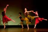 Danza para todos los gustos