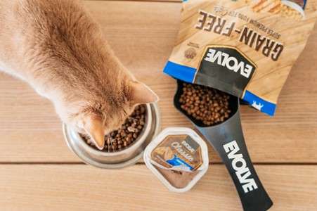 Evoluciona en la alimentación de tus mascotas con EVOLVE