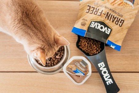 Evoluciona en la alimentación de tus mascotas con EVOLVE