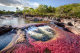 Guía práctica: cinco recomendaciones para viajar a Caño Cristales en temporada