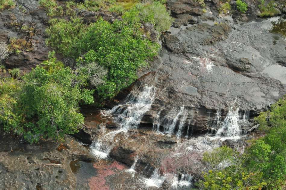 Caño Cristales se encuentra a 68 kilómetros del lugar donde se realizaría la explotación petrolera. 