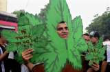 Marihuana recreativa, una de las propuestas que llegará al Congreso el 20 de julio