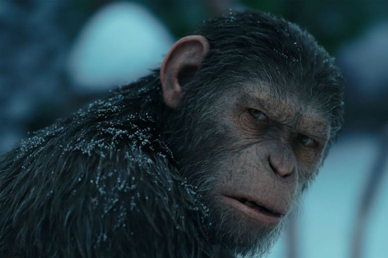 Disney planea nuevas películas de "El Planeta de los Simios"