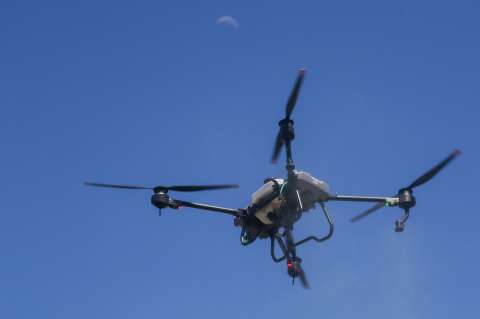 China despliega drones y robots para plantar árboles en su “Gran Muralla Verde”