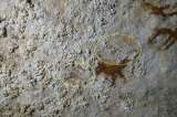 Así descubrieron el arte rupestre más antiguo en todo el mundo: fue hecho hace 67.800 años