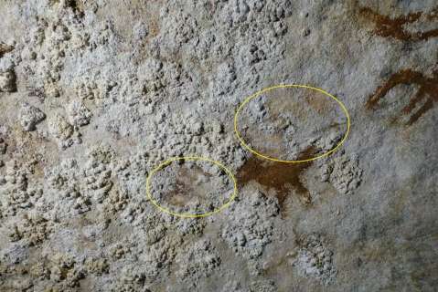 Así descubrieron el arte rupestre más antiguo en todo el mundo: fue hecho hace 67.800 años