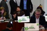 Las 12 recomendaciones de académicos para la regulación del uso adulto de cannabis