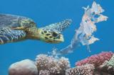 Las tortugas marinas confunden el olor del plástico con el alimento