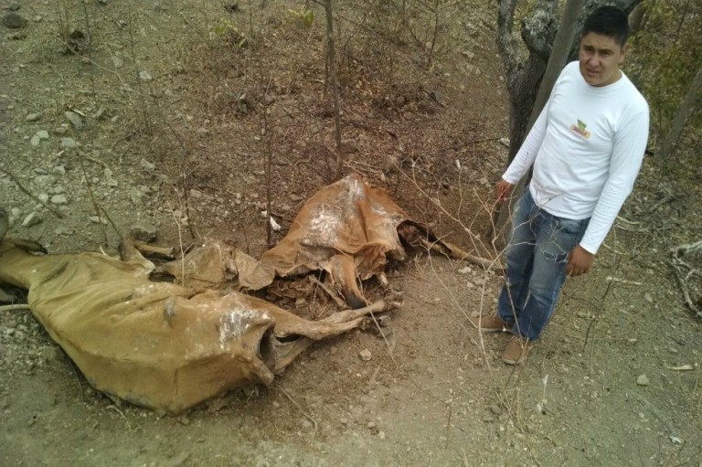 Pescadores, bosques y animales sucumben ante la sequía