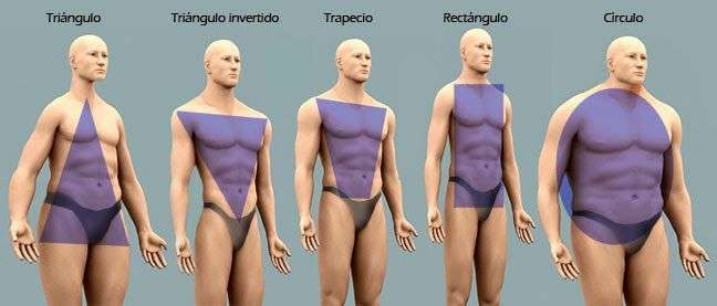 Cuerpo