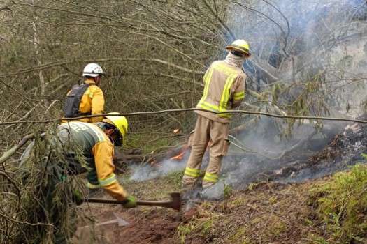 Un incendio forestal que lleva más de 48 horas continúa siendo atendido por bomberos locales y de municipios aledaños. Las afectaciones se estiman en cerca de 1.200 hectáreas. La mañana del domingo 22 de septiembre la emergencia estaba controlada en un 98%.