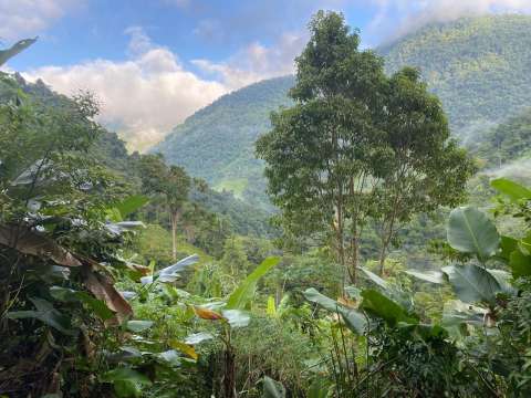 La batalla por conservar los bosques y el agua de la Sierra Nevada de Santa Marta