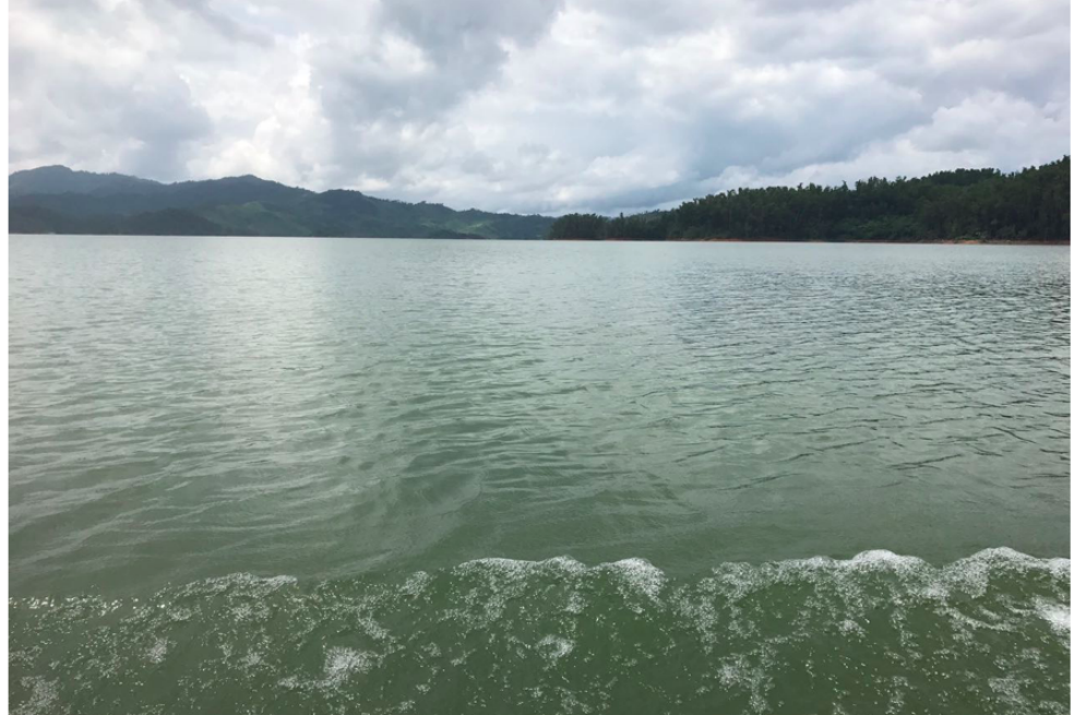 De 0 a 100, la calidad del agua del río Sinú puntea 51. Ciénaga grande del Bajo Sinú. / Edineldo Lans Ceballos