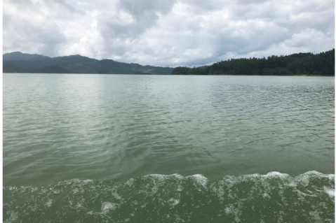 El río Sinú: en peligro de contaminación por metales pesados