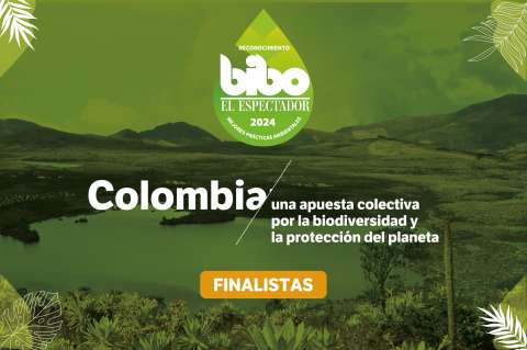 Estos son los mejores proyectos ambientales, finalistas del Premio BIBO 2024
