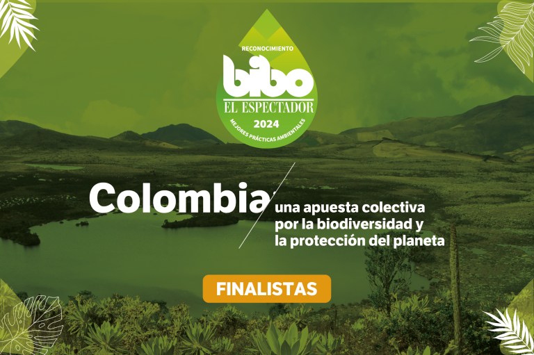 Estos son los mejores proyectos ambientales, finalistas del Premio BIBO 2024