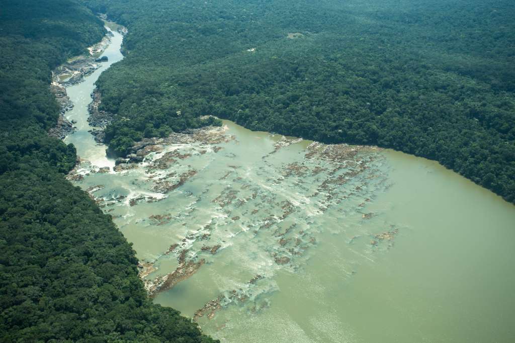 Existen iniciativas para la restauración de bosques y la conservación de selvas intactas, pero son esfuerzos que se quedan cortos si no se reducen las tasas de deforestación. La conciencia como consumidor y la educación ambiental son piezas claves para generar un cambio./ Juan Gabriel Soler-Gaia Amazonas.