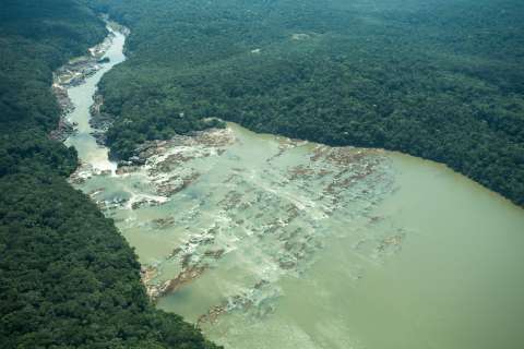 Los impactos de una deforestación que nunca paró