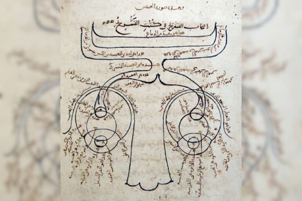 Estructura del ojo humano en Kitab al-Manazir (Libro de óptica) de Ibn al-Haytham, Alhacén, 1003.