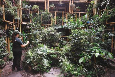 En fotos: conozca las huertas de la cuarta ruta turística agroecológica de Bogotá