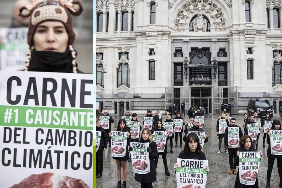 Este domingo, más de una docena de animalistas exigen en Madrid (España) que los asistentes de la COP25 declaren al consumo de carne como el mayor culpable del calentamiento global. / Twitter AnimaNaturalis