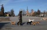 La guerra en Ucrania cambió a sus perros