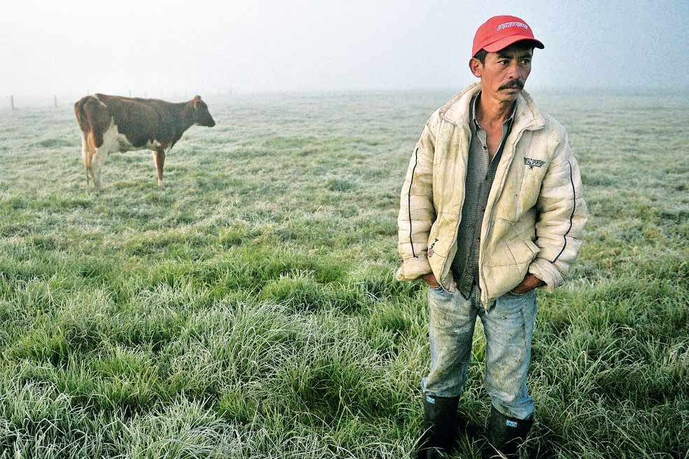 Con apoyo de la Gobernación y el Ministerio de Agricultura se espera ayudar a los campesinos que han perdido cultivos por los efectos del clima. / Luis Ángel - El Espectador