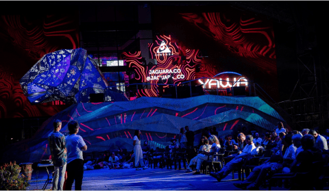 L@s Chiques en la COP16 (II)