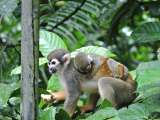 Desde 2018, menos colombianos se creen responsables de proteger la biodiversidad