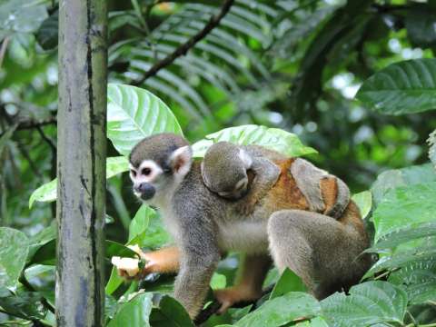 Desde 2018, menos colombianos se creen responsables de proteger la biodiversidad