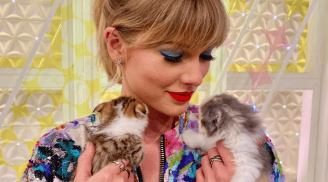 ¿Es mala idea adoptar o comprar las mismas razas de gatos que tiene Taylor Swift?