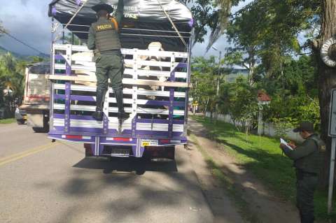 Capturan a "Los Sabaneros", dedicados al hurto de ganado en Cundinamarca
