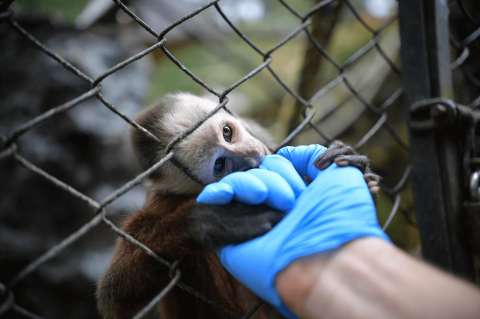 En imágenes, buscan ayudas para sostener los 750 animales del zoológico Santa Cruz