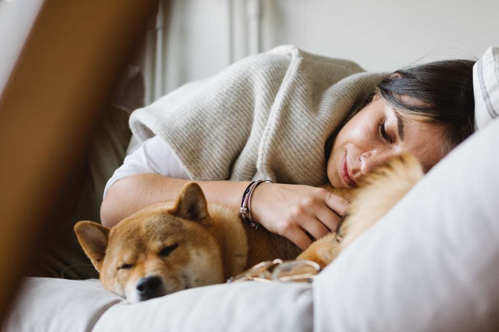 ¿Duermes con tu mascota pros y contras de descansar al lado de tu peludo amigo