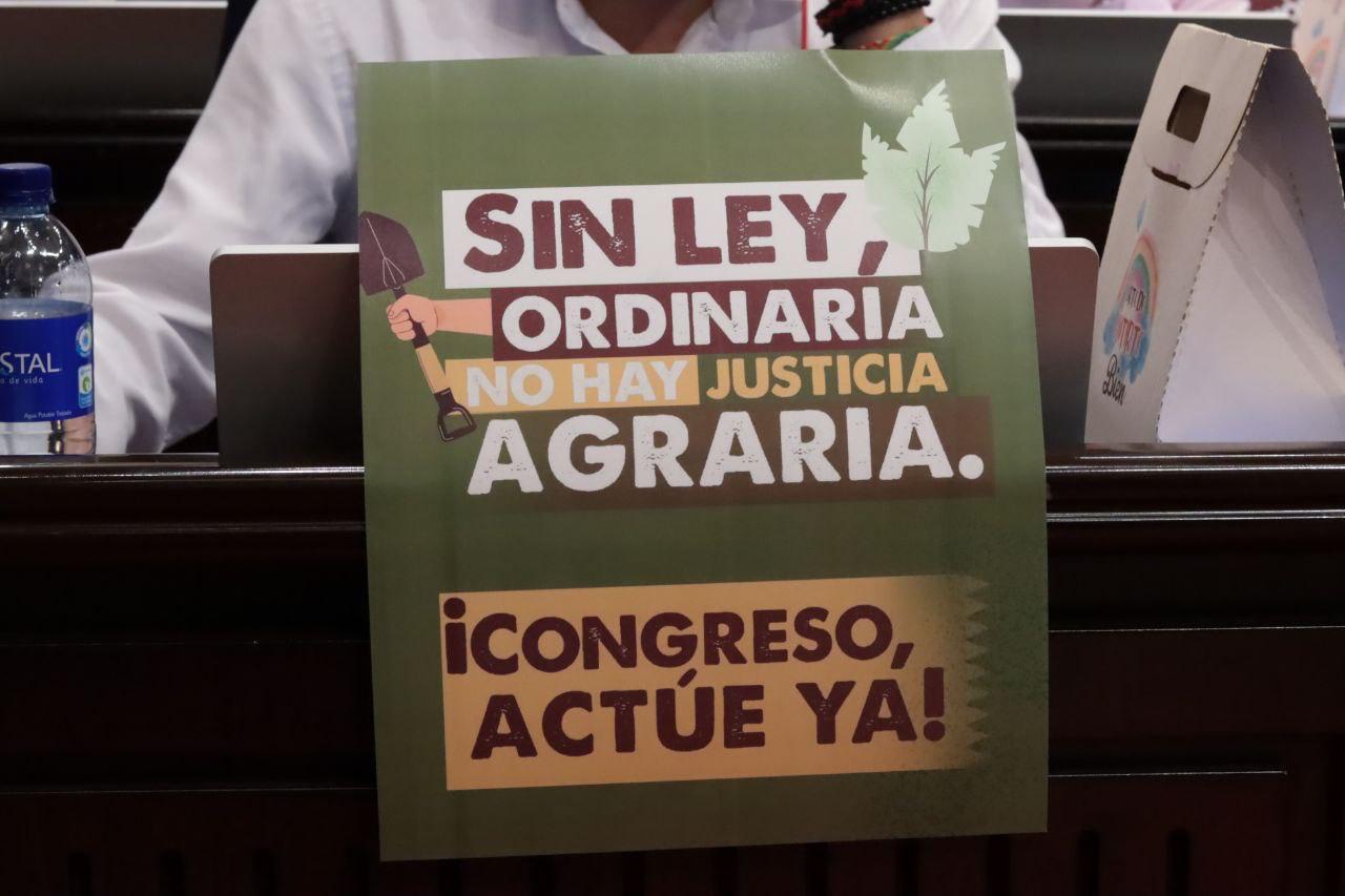 En las última sesiones de la plenaria de la Cámara, la discusión sobre la ley de Jurisdicción Agraria pasó del primer punto de discusión al sexto.