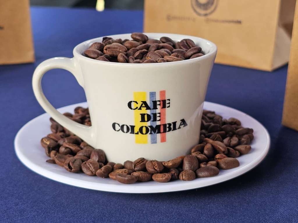 Cultivar una mata de café es una manera sencilla de conectar con el campo, conocer el origen de la bebida y valorar aún más cada taza.