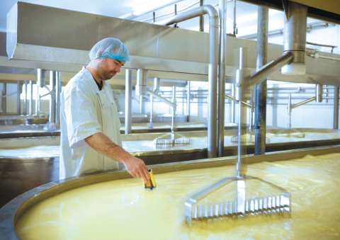 Lactosueros en la leche: un asunto por resolver