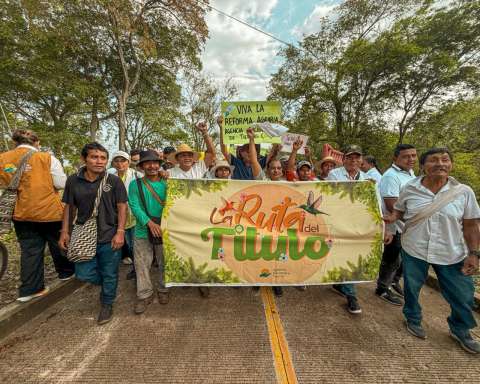 Las 1.5 millones de hectáreas que hacen justicia para las comunidades étnicas