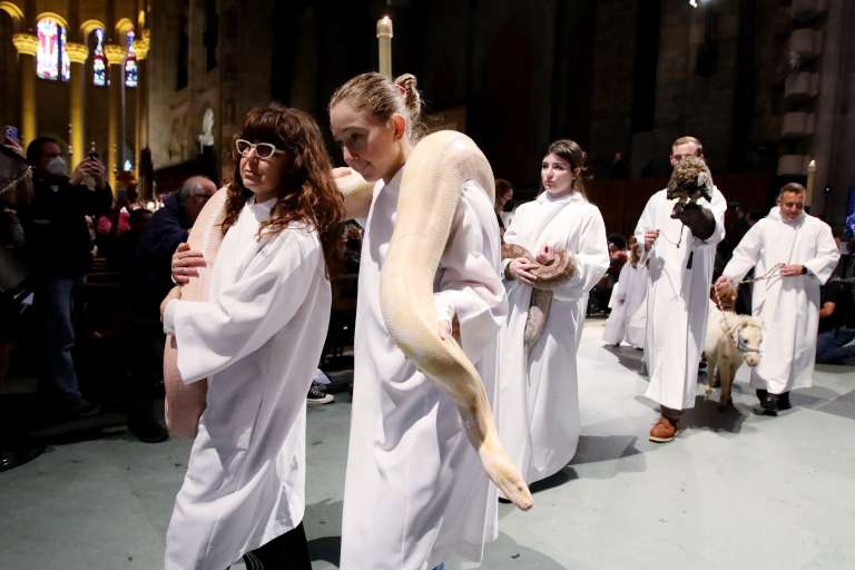 Animales salvajes también participaron en la celebración. La serpiente va camino a la bendición en una iglesia de Nueva York