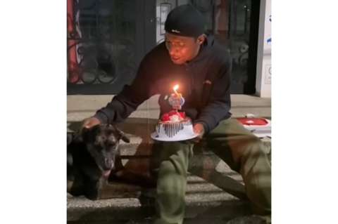 “Mis perros son mis ángeles, me salvaron de la muerte”: Choco