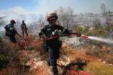 Grecia: miles de personas evacuadas por incendio forestal a las afueras de Atenas