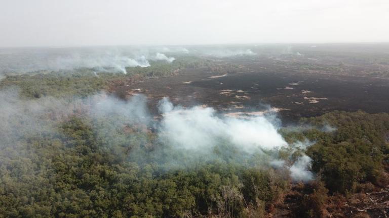 Incendio ha consumido más de 12 hectáreas de la Ciénaga Grande de Santa Marta