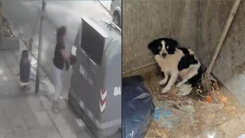 Mujer botó a su perrita en una caneca de basura pero luego fue rescatada
