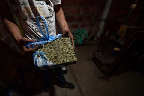 El boom de la marihuana en Colombia que muchos desconocen
